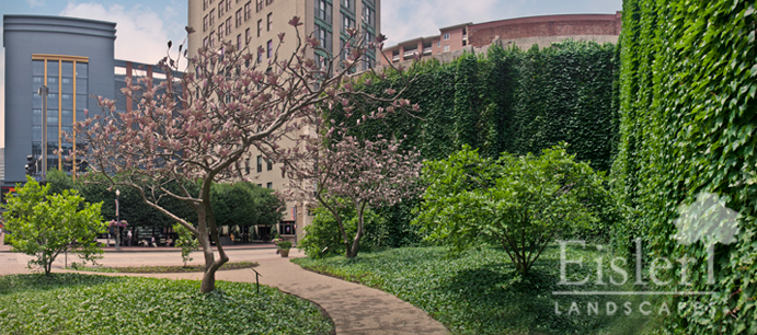 Project_Magnolia Park1.jpg
